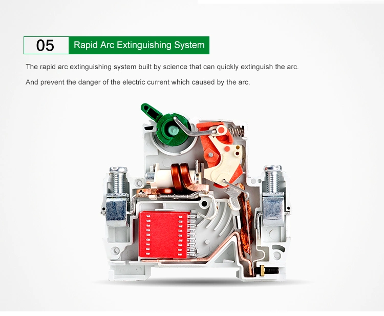 Normal Type Mini Singi or OEM Sg65-63 Electric Circuit Breaker