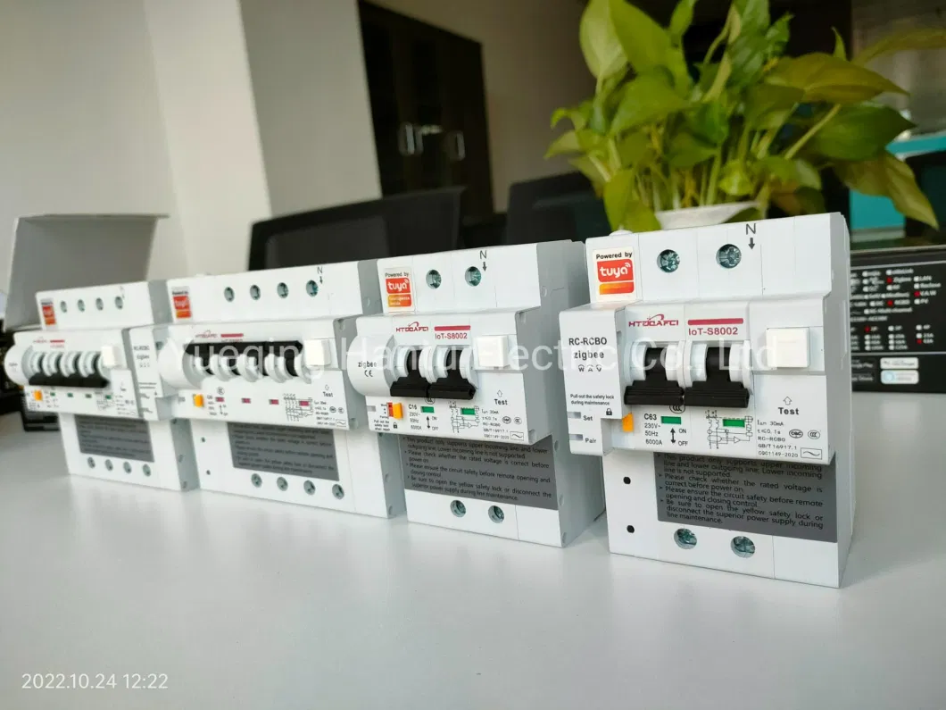 2023 New Design DIN Rail Smart 4G 2 Pole 16A Circuit Breaker (MCB) Remote Control in Smart House Use