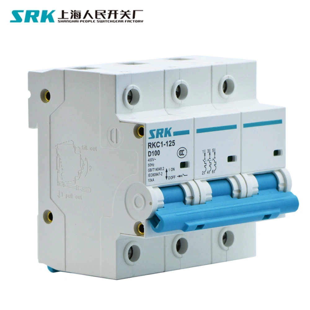 5-Year Warranty 10ka AC 80A 100A 125A 1p 2p 3p 4p Miniature Breaker