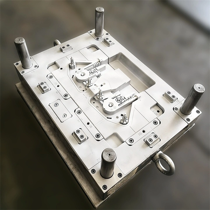 Customized Plastic Injection Mold Tray/Plug