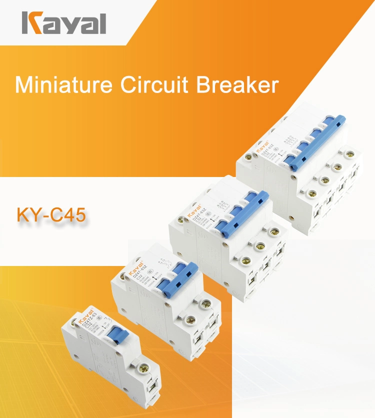 Free Sample! MCB C45 Mini Circuit Breaker Dz47-100