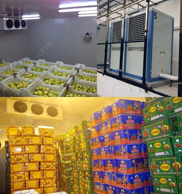 20% Higher Efficiency Fish Processing Plant Cold Room Manufacturers