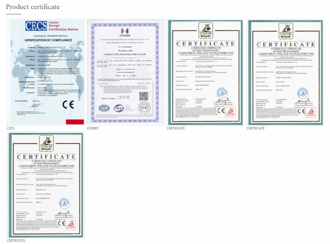 CE Certificate Electromagnetic Type RCCB 2, 4 Poles 16A 32A 63A 100A Magnetic ELCB RCD RCBO Residual Current Circuit Breaker