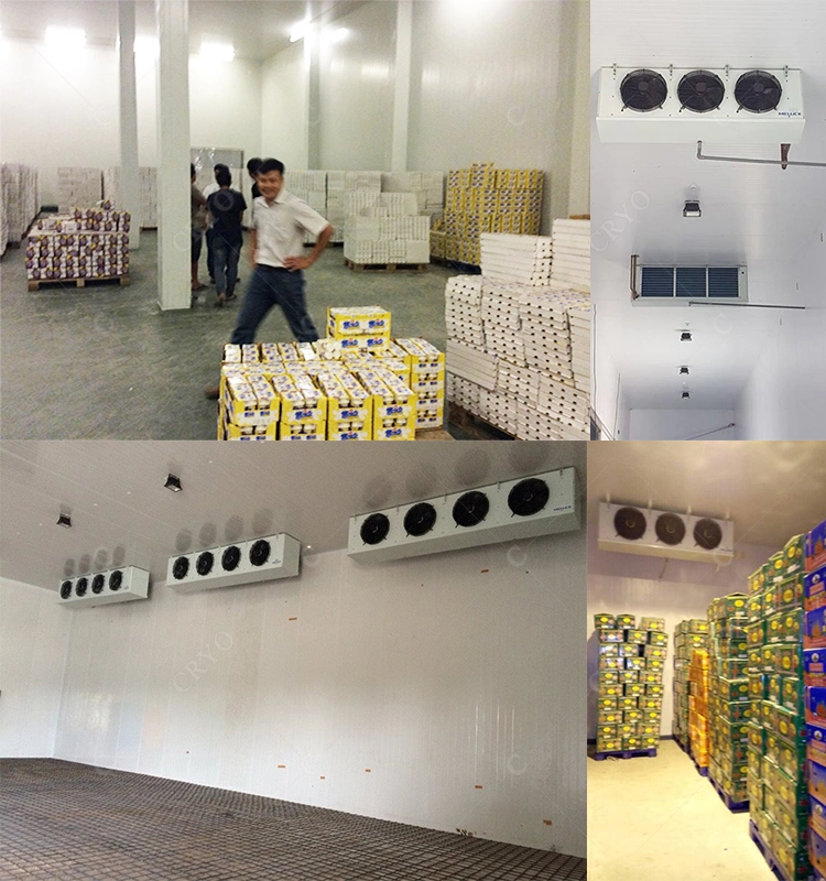 Modular Banana Cold Room Price