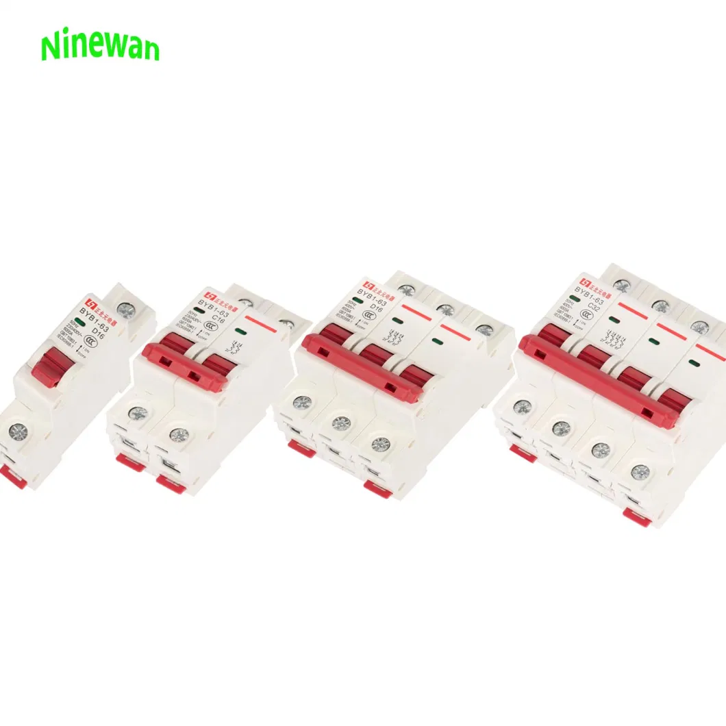 35mm DIN Rail Circuit Breaker B C D Curve 10ka 2pole MCB Circuit Breaker 100A Mini Type