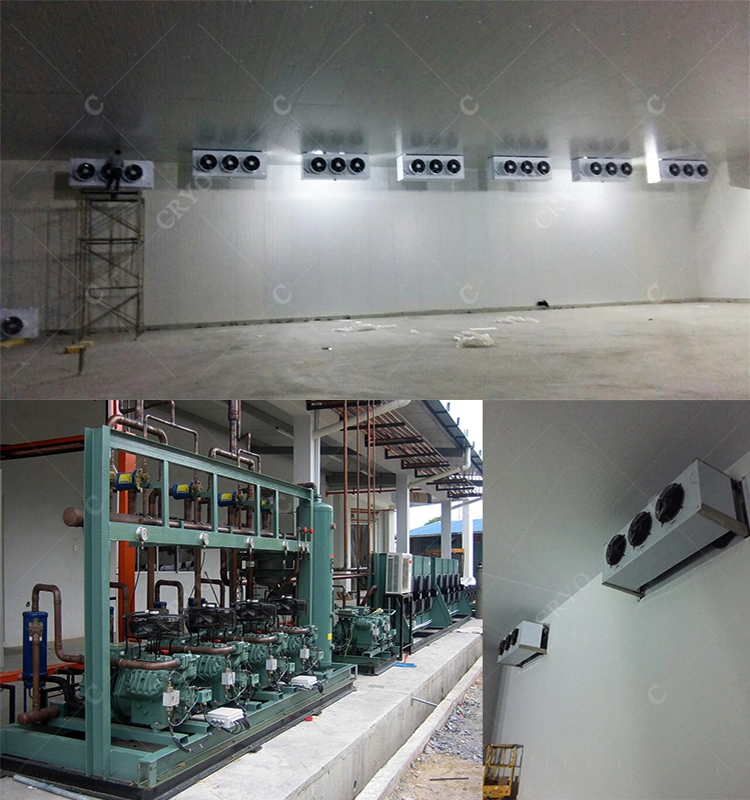 20% Higher Efficiency Fish Processing Plant Cold Room Manufacturers