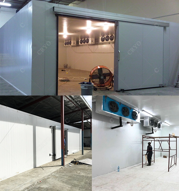 Refrigeration Condensing Unit Suppliers Portable Cold Rooms Cold Storage China