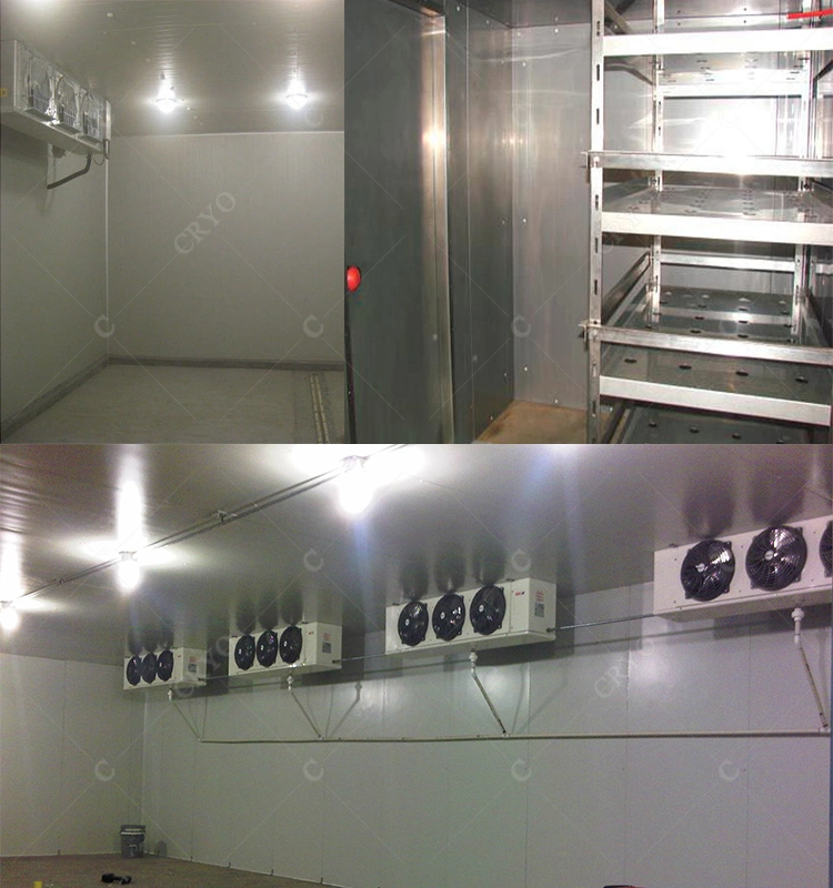 20% Electricity Saving Fish Processing Plant Cheap Walk in Freezer