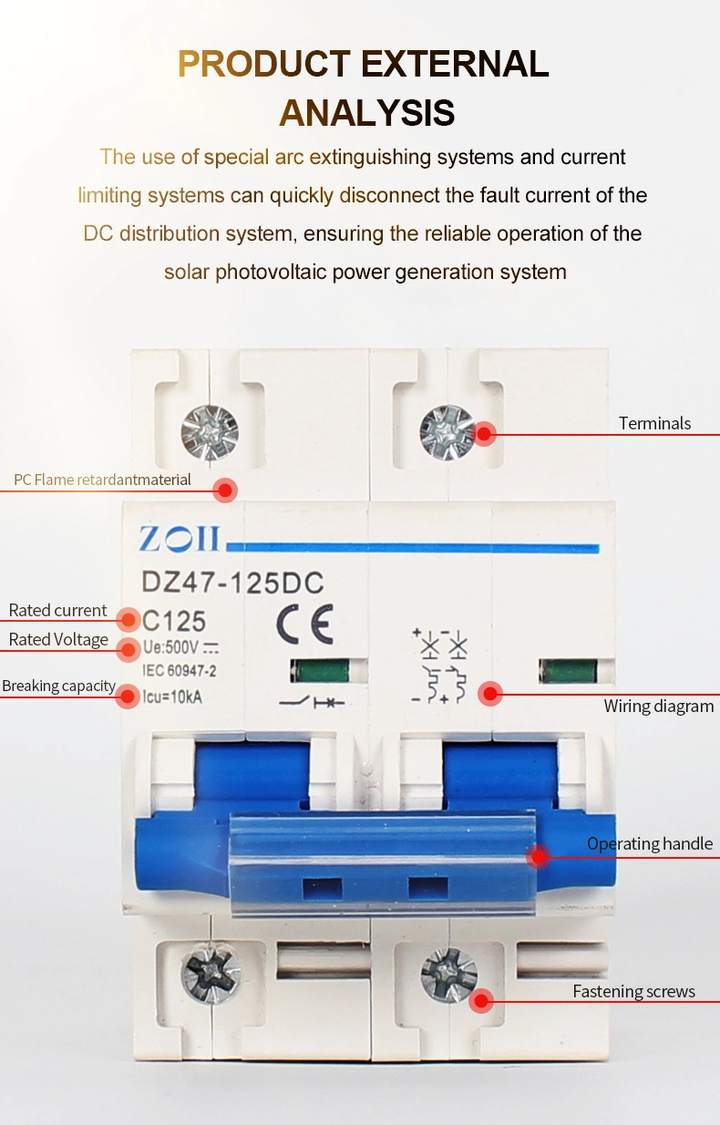 Zoii Circuit Breaker DC 125A 2pole DC Breaker 100A 80A DC MCB