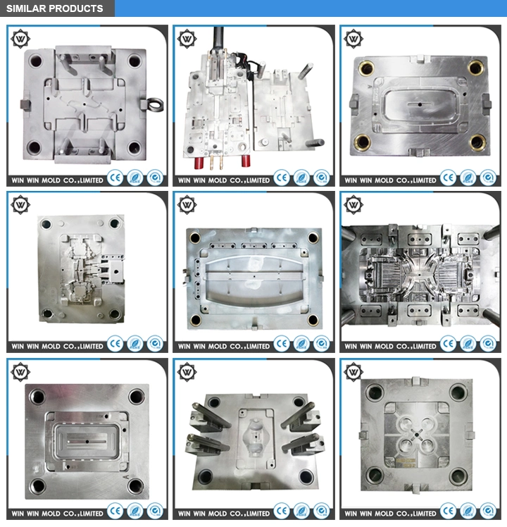 Customized Plastic Injection Mold Tray/Plug