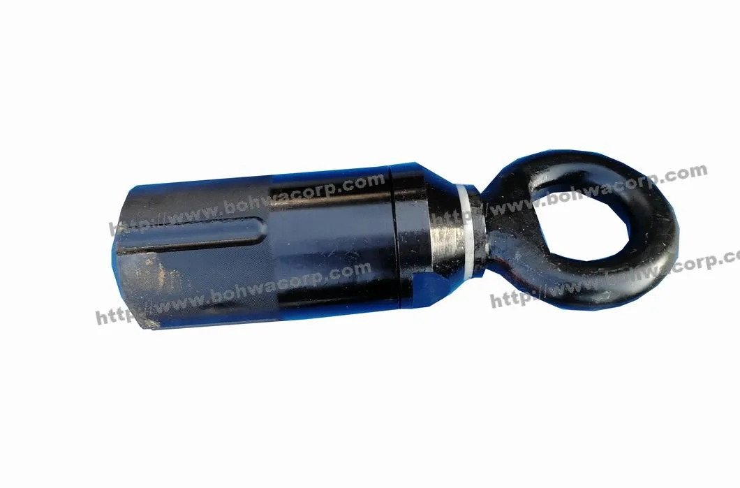 Water Swivel Assembly Hoisting Plug