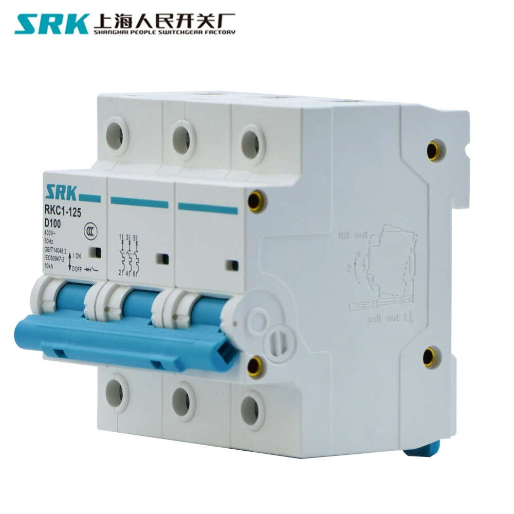 5-Year Warranty 10ka AC 80A 100A 125A 1p 2p 3p 4p Miniature Breaker