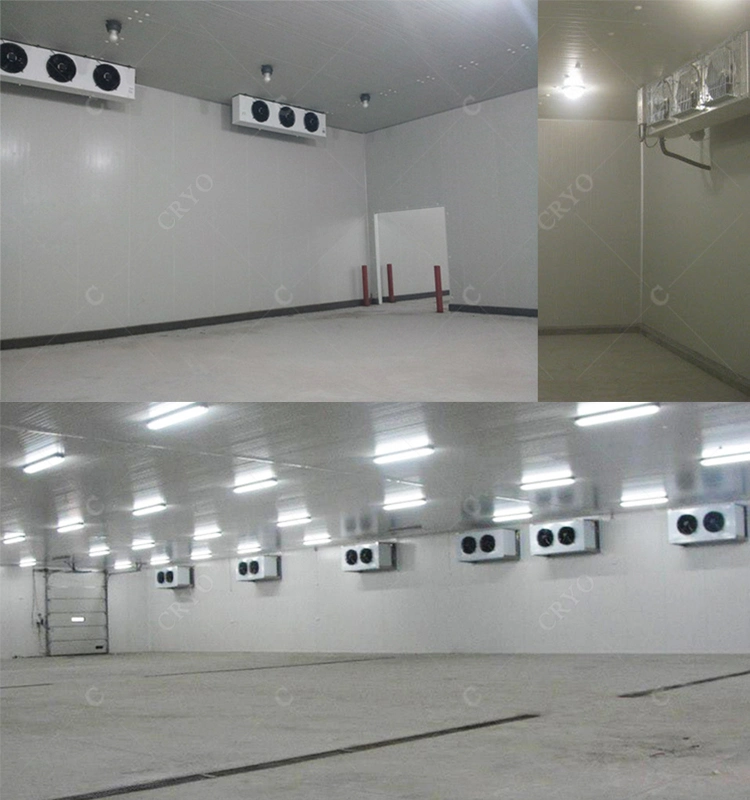 Organic Honey Sunquick Juice Custom Cold Storage Rooms Modular Cool Room System Cold Store Warehouse