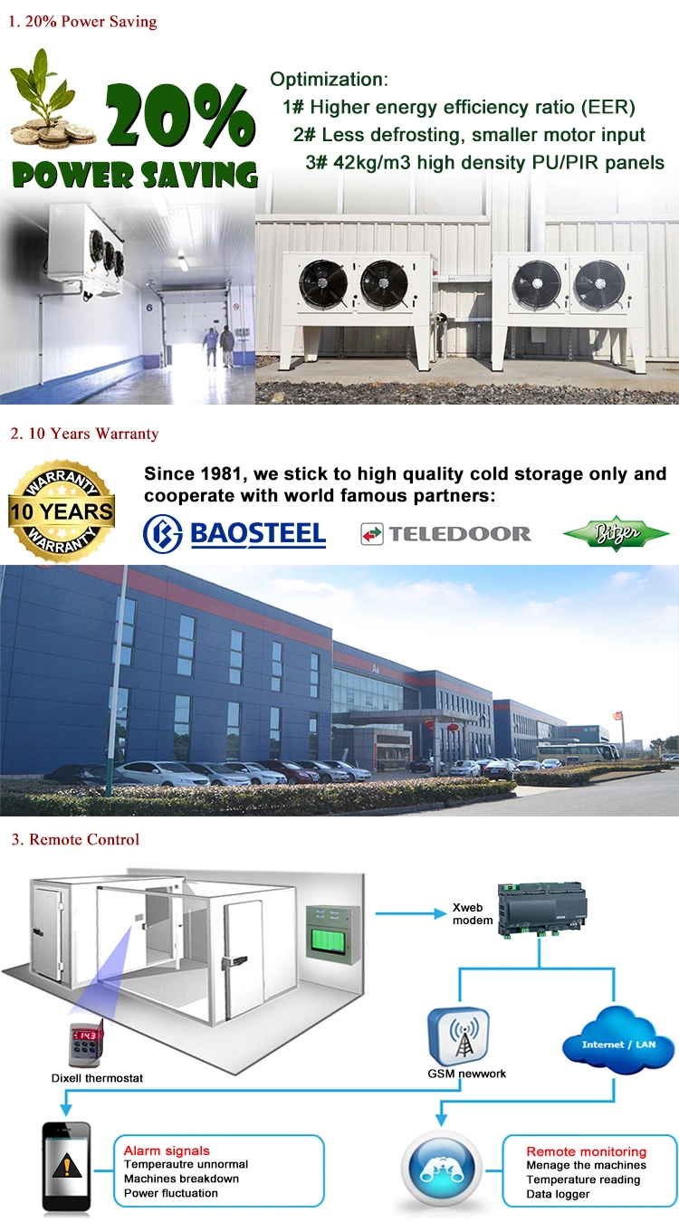 10 Years Warranty Fish Processing Plant Cold Room Units Sale