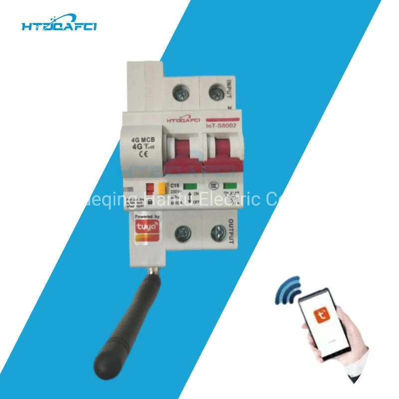 2023 New Design DIN Rail Smart 4G 2 Pole 16A Circuit Breaker (MCB) Remote Control in Smart House Use