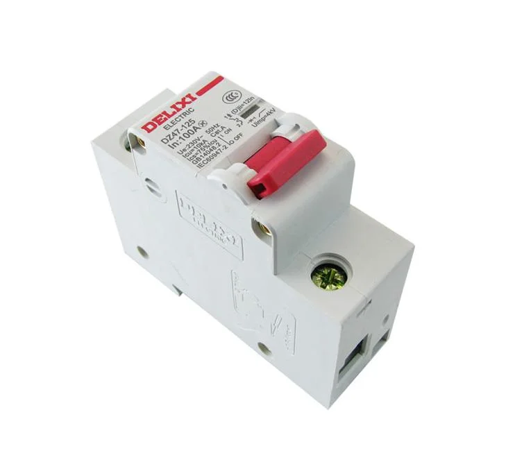 Delixi Dz47-125 High Current Circuit Breaker MCB