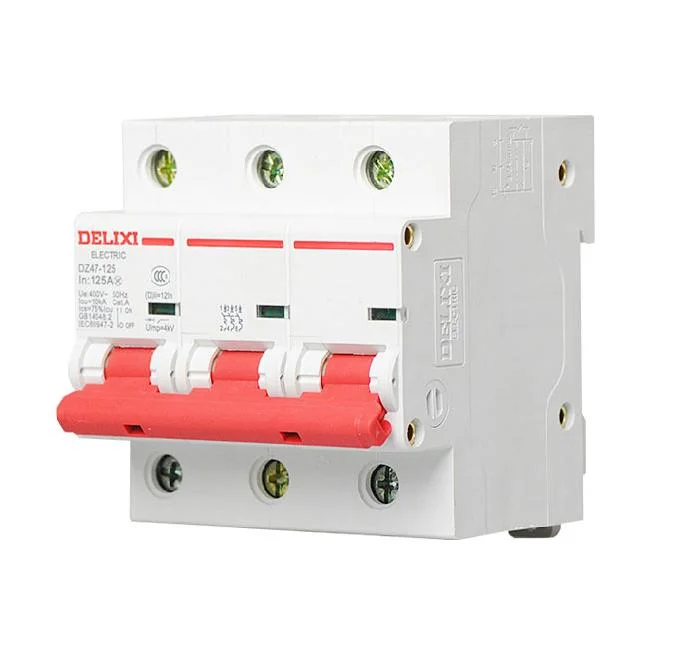 Delixi Dz47-125 High Current Circuit Breaker MCB