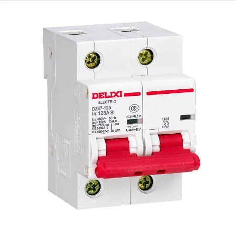 Delixi Dz47-125 High Current Circuit Breaker MCB