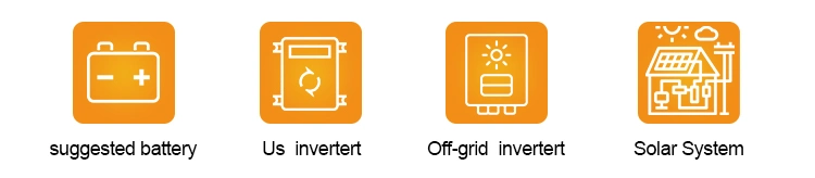 Amensolar Design for Us Split Phase 110V 120V Factory OEM 5kw on Grid Hybrid Solar Inverter