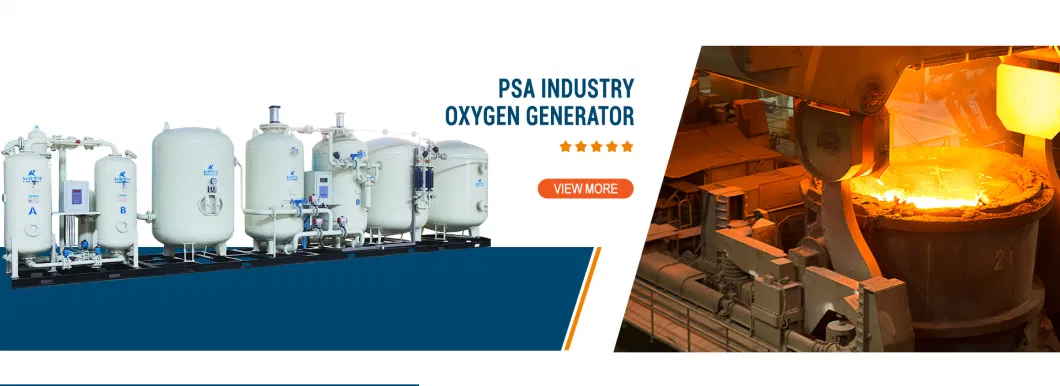 Chenrui High-Tech Psa Oxygen Generator Air Consumption Psa Oxygen Generator Unit for Industrial Use