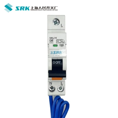 Цена на заводе 5 года гарантии 6ka 10КА RCBO прерыватель цепи