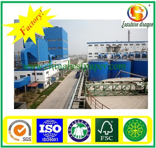 180g Food Paper Duplex Board/dB paper/paper board