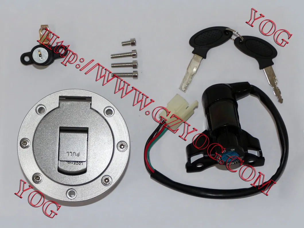 Yog Motorcycle Parts Key Set/Main Switch for Tvs Star Gn125 Wy125