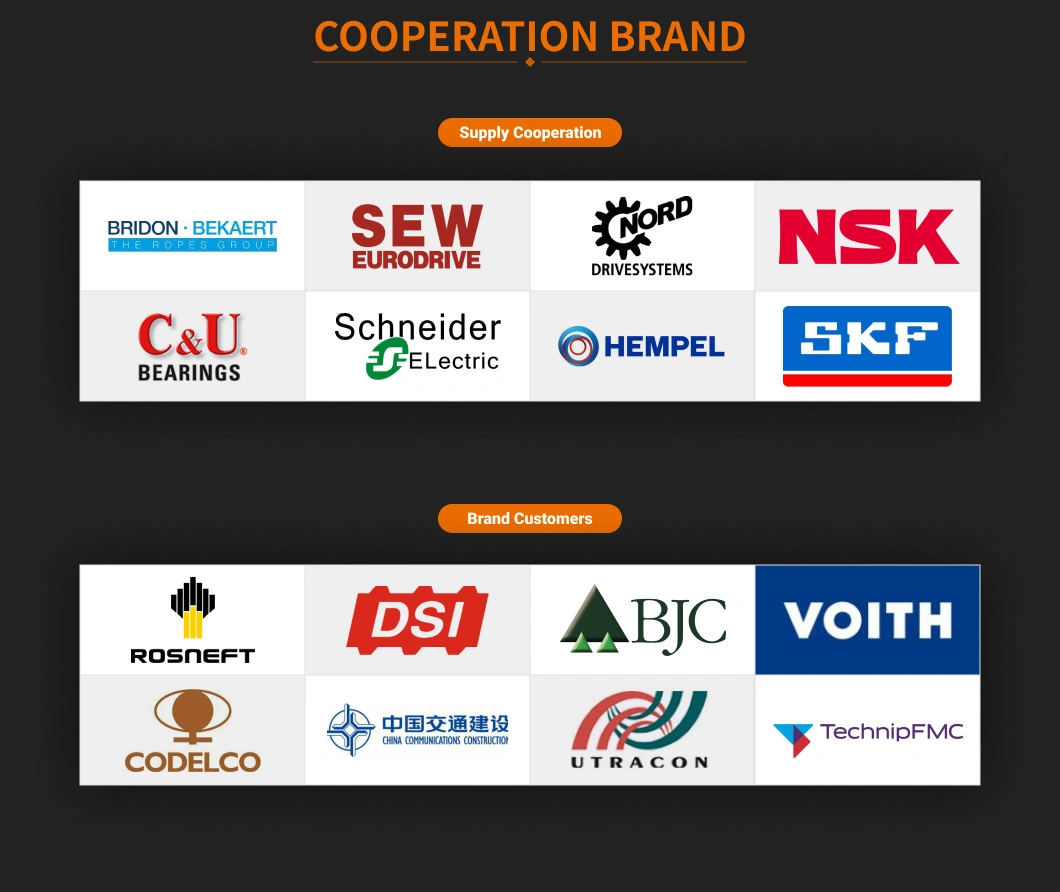 Customized Overhead Crane Control Panel Box Consist of Electromagnetic Braking Motor