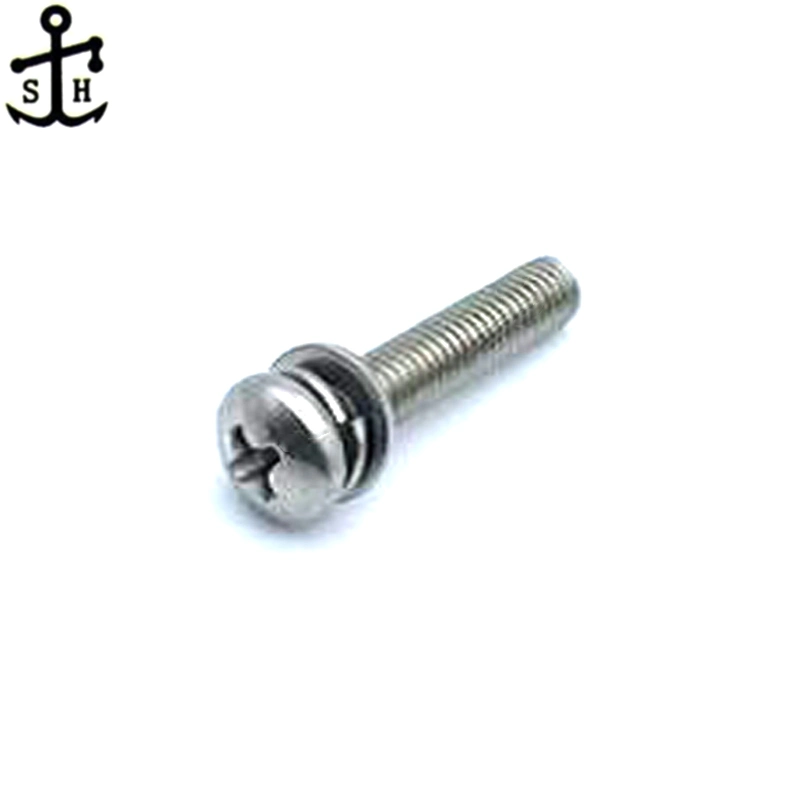 Cross Recessed Pan Head Screws, Single Coil Spring Lock Washer and Plain Washers Assemblies