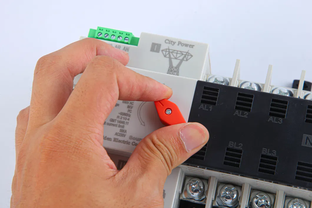 Factory Direct Sell W2r Mini ATS 2p 3p 4p 1-100A Automatic Transfer Switch DIN Rail Mounting