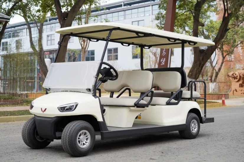 Wuling Mini Electric Car Sightseeing Car with CE