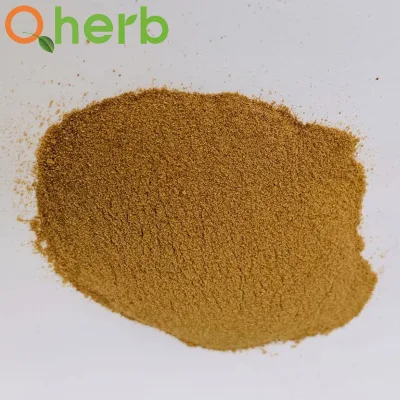2% Forsythin Forsythia Extract
