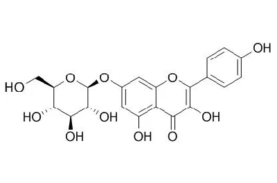 ISO Certified Reference Material &nbsp;98% &nbsp;Kaempferol-7-Glucoside; Kaempferol-7-O-&beta; -D-Glucopyranoside &nbsp;16290-07-6 Standard Reagent