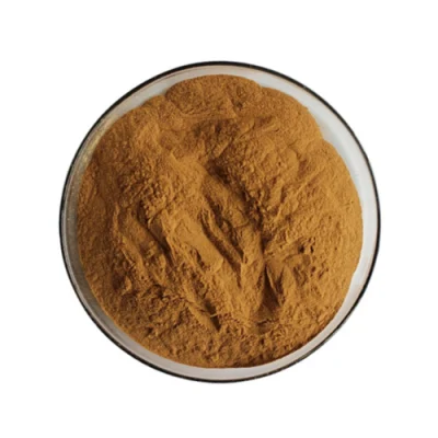 Wholesale Ginkgo Biloba Extract Powder Top Grade Ginkgo Biloba Extract
