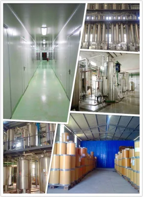 Hot Sale Plant Extract Elecampane Extract /Elecampane Alantolactone 1.2% Powder Extract