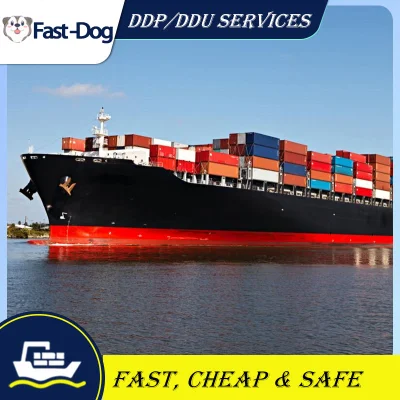 Drop Shipping Cheapest FCL LCL Cargo Shipment by Cargo Shipping China to Philippines Brunei Afghanistan Kabul UAE