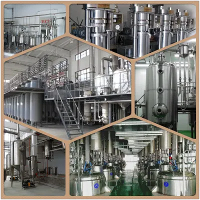 High Quality Organic Buckwheat Powder