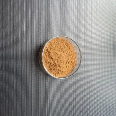 Flax Seed Extract 10: 1 Secoisolariciresinol Diglucosi Powder