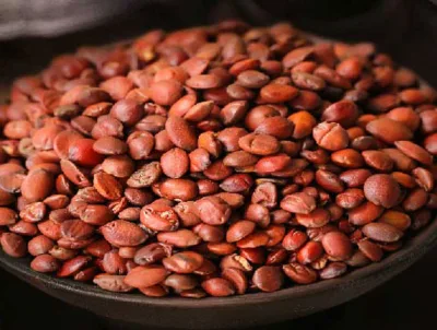 Spine Date Seed Extract Ziziphus Jujube Extract Powder Jujubosides