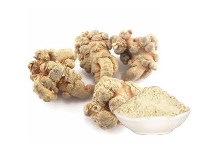  High Quality Radix Notoginseng P. E. Panax Notoginseng Root Extract Powder