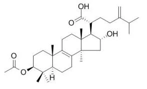 ISO Certified Reference Material &nbsp;97% &nbsp;Pachymic Acid &nbsp;29070-92-6 Standard Reagent
