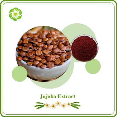  World Well-Being China Manufacturer Jujuba Extract, Jujuboside