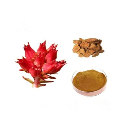Rhodiola Rosea Extract Rhodiola Crenulata Rosavins 3% Rosavin Rosin Rosarin CAS 10338-51-9