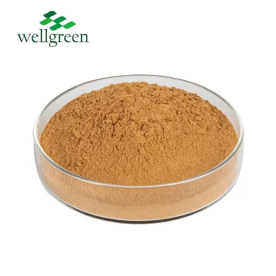 Antioxidant and Anti-Inflammatory Properties Derived Suspensa Leaf Coleus Forsythiae Forsythin Fructus Powder Forsythia Extract