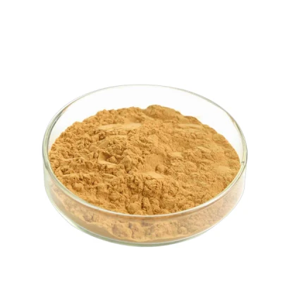 Factory Supply Ginkgo Extract Ginkgo Biloba Extract Powder for Lower Blood Pressure