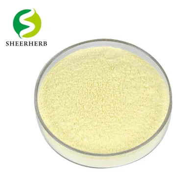 Best Price Kaempferia Galanga Parviflora Nanoparticle Bulk Kaempferol