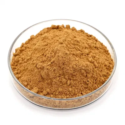 Factory Supply Forsythin 1% Forsythia Suspensa Fruit Extract