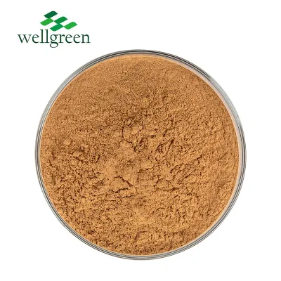 Antioxidant and Anti-Inflammatory Properties Derived Suspensa Leaf Coleus Forsythiae Forsythin Fructus Powder Forsythia Extract