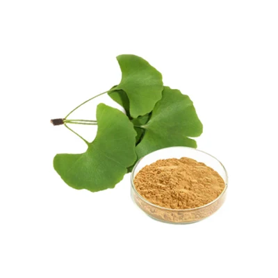 ISO Factory Supply Ginkgo Biloba Extract Powder