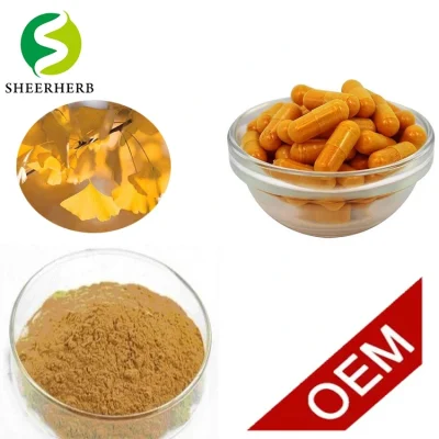 Factory Supply Ginkgo Extract Ginkgo Biloba Extract Powder for Lower Blood Pressure